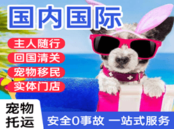 屯溪航空邮寄国际宠物托运 【国